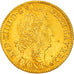Coin, France, Louis XIV, Louis d'or aux 8 L et aux insignes, Paris, EF(40-45)