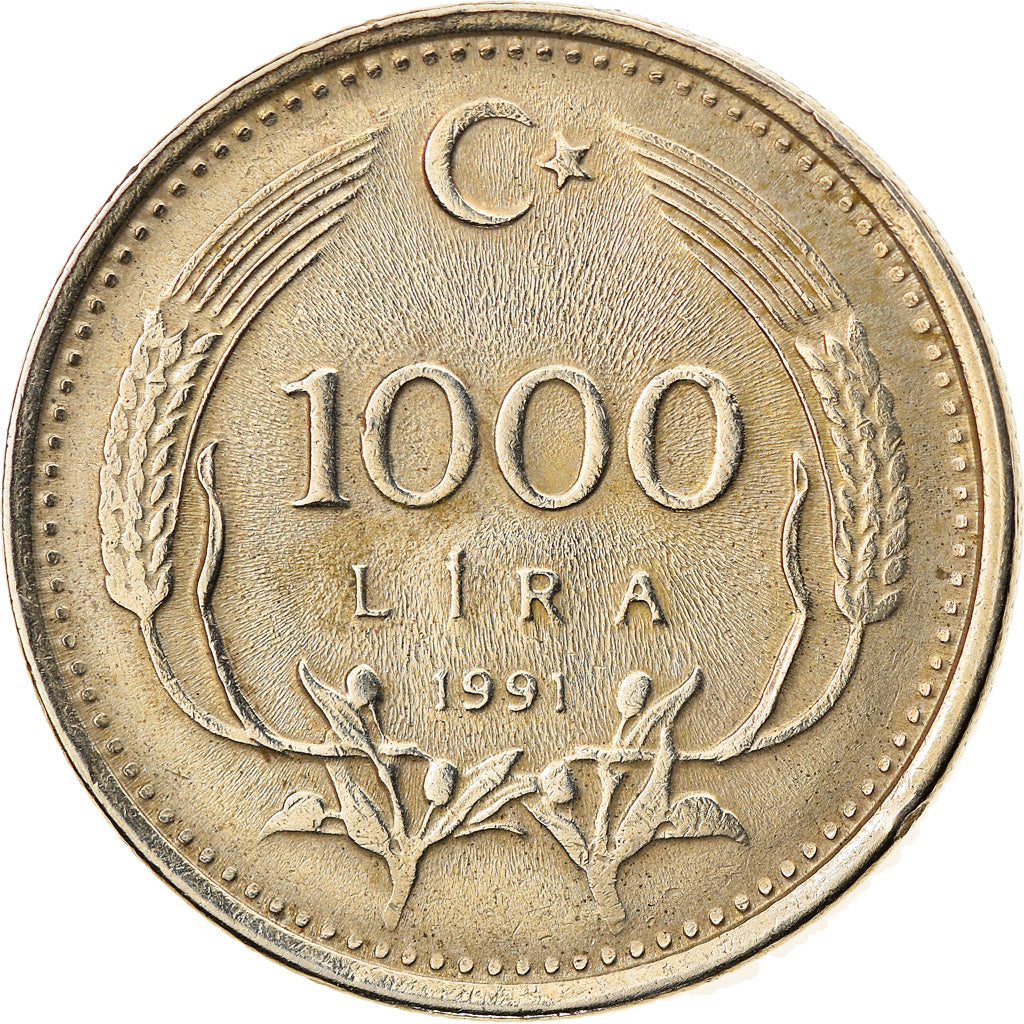 Moneta, Turchia, 1000 Lira, 1991, BB, Nichel-ottone, KM:997