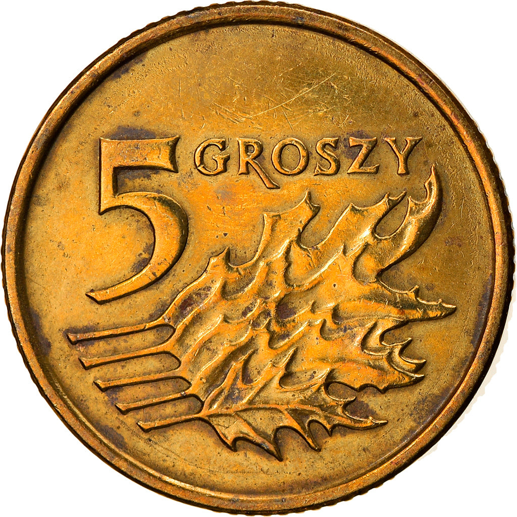 Coin, Poland, 5 Groszy, 2002, Warsaw, AU(50-53), Brass, KM:278