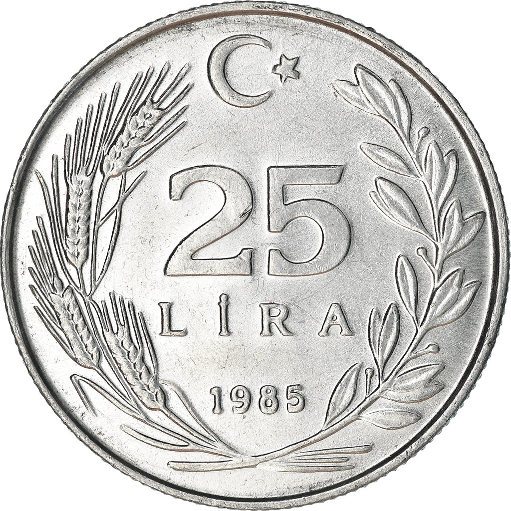 Moneta, Turchia, 25 Lira, 1985, SPL-, Alluminio, KM:975