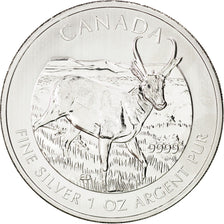 Coin, Canada, Elizabeth II, 5 Dollars, 2013, MS(65-70), Silver, KM:1350