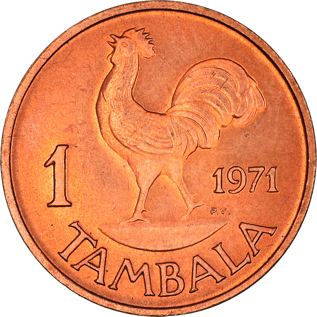 Monnaie, Malawi, Tambala, 1971, SUP, Bronze, KM:7.1