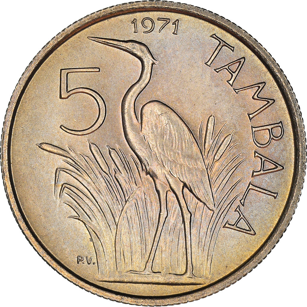 Coin, Malawi, 5 Tambala, 1971, AU(55-58), Copper-nickel, KM:9.1