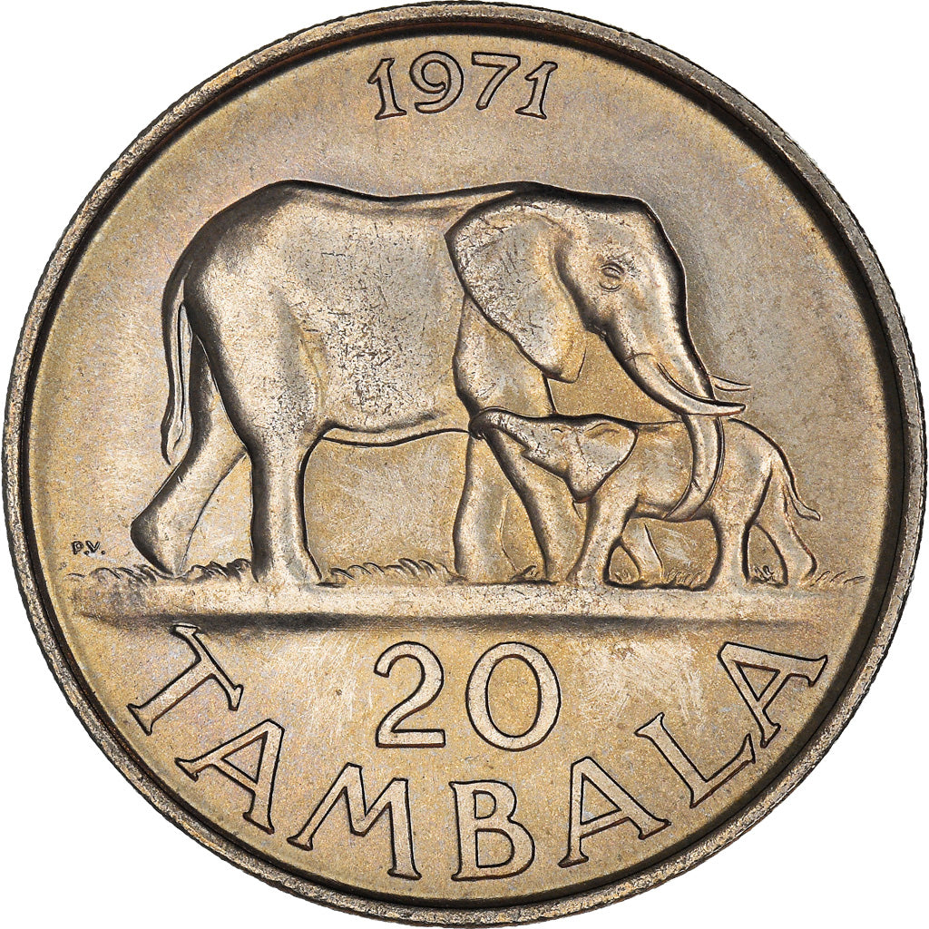 Coin, Malawi, 20 Tambala, 1971, AU(55-58), Copper-nickel, KM:11.1