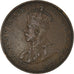 Coin, Australia, George V, Penny, 1920, EF(40-45), Bronze, KM:23