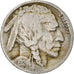 Moneda, Estados Unidos, Buffalo Nickel, 5 Cents, 1924, Philadelphia, BC+, Cobre