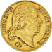 Moeda, França, Louis XVIII, 20 Francs, 1817, Lille, EF(40-45), Dourado