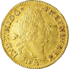 Munten, Frankrijk, Louis XIV of France, Double Louis d'or aux 4 L, 1693, Paris
