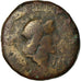 Coin, Kingdom of Bosphorus, Aspurgus, with Tiberius, 12 Nummi, 14-38 AD