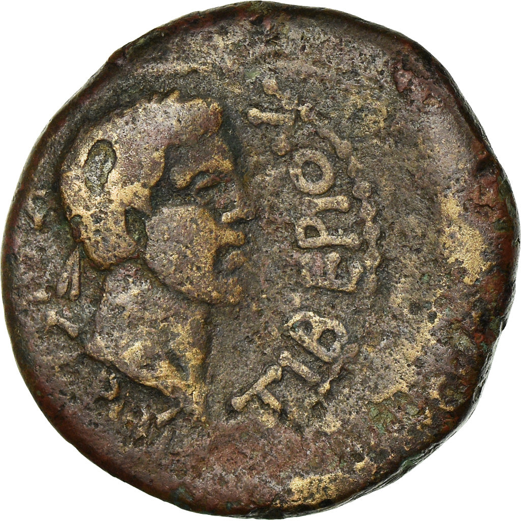 Coin, Kingdom of Bosphorus, Aspurgus, with Tiberius, 12 Nummi, 14-38 AD