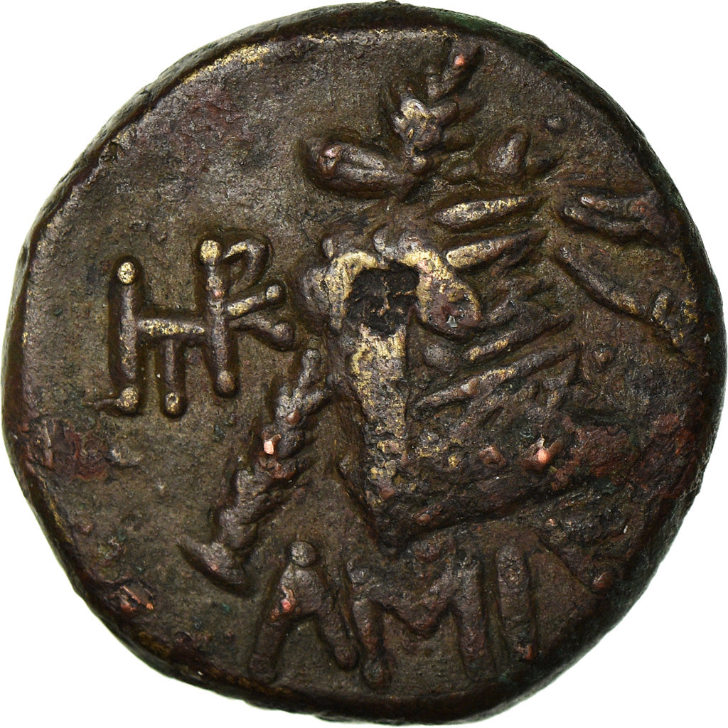 Moneda, Pontos, Amisos, Bronze Æ, 85-65 BC, MBC, Bronce, HGC:7-243