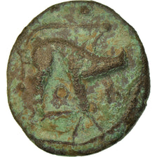 Monnaie, Ambiens, Bronze au Sanglier et au Cheval, Ier siècle AV JC, TB+