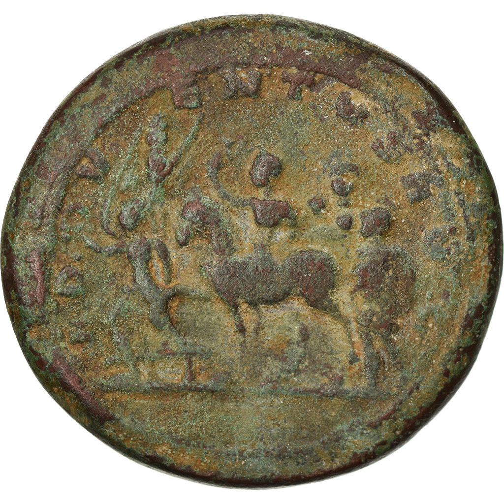 Coin, Probus, Cast Paduan Medallion, 16-17th century, EF(40-45), Bronze
