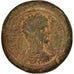 Coin, Phrygia, Apameia, Septimius Severus, Cast Paduan Medallion, 16-17th