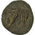 Moneda, Kingdom of Macedonia, Antigonos Gonatas, Bronze Unit, 277/6-239 BC, MBC