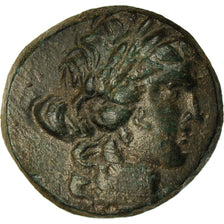 Coin, Phrygia, Hierapolis, Bronze Æ, 12 BC - 14 AD, AU(50-53), Bronze