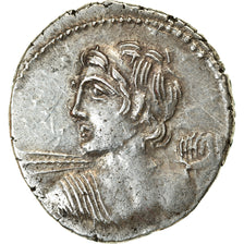 Coin, Licinia, Denarius, 84 BC, Rome, AU(55-58), Silver, Crawford:354/1