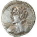 Coin, Licinia, Denarius, 84 BC, Rome, AU(55-58), Silver, Crawford:354/1