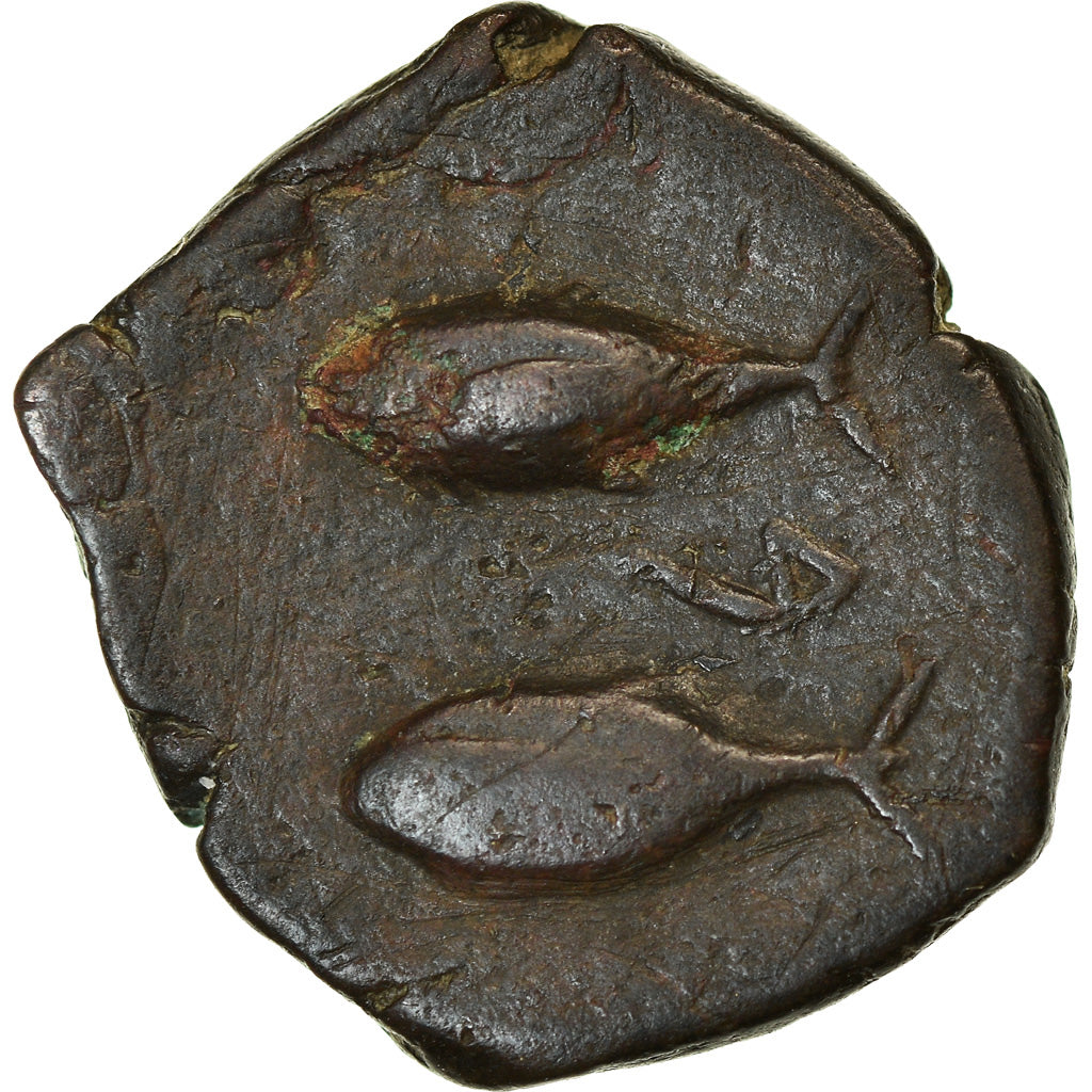 Coin, Spain, Gades, Half Unit, 3rd century BC, Pedigree, EF(40-45), Bronze