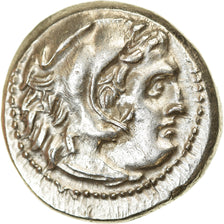 Münze, Kingdom of Macedonia, Philip III, Drachm, 323-319 BC, Magnesia, VZ