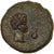 Monnaie, Thrace, Rhoemetalkes I, Bronze Æ, 11 BC - AD 12, TTB+, Bronze, RPC:1712