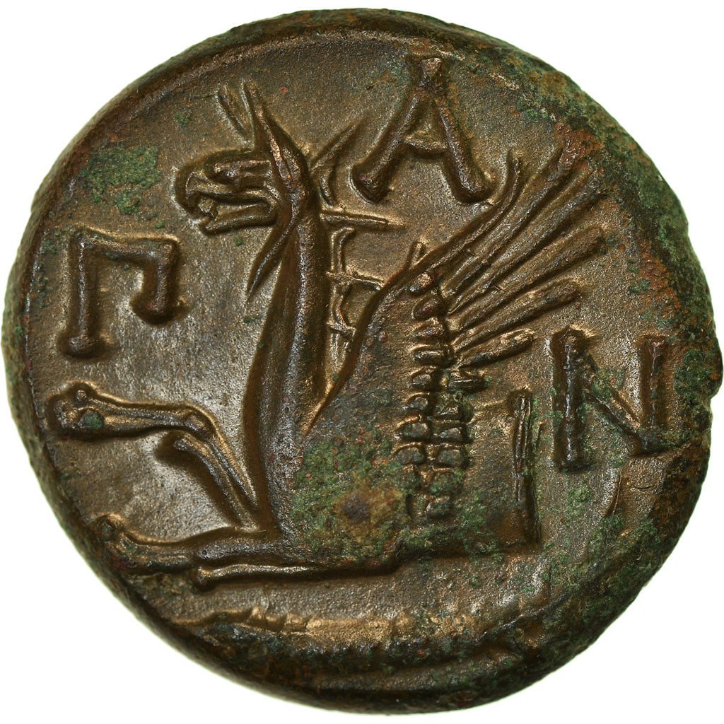 Moneda, Cimmerian Bosporos, Pantikapaion, Bronze Æ, 310-304/3 BC, EBC, Bronce