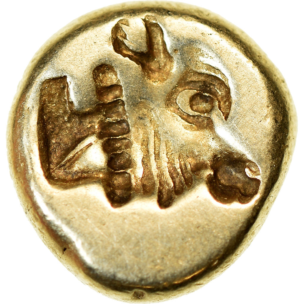 Coin, Lesbos, Mytilene, Hekte, 521-478 BC, EF(40-45), Electrum, HGC:6-938