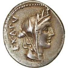 Coin, Fabia, Denarius, 102 BC, Rome, AU(50-53), Silver, Crawford:322/1b
