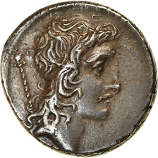 Coin, Cassia, Denarius, 55 BC, Rome, AU(55-58), Silver, Crawford:428/3