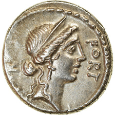 Coin, Sicinia, Denarius, 49 BC, Rome, AU(55-58), Silver, Crawford:440/1