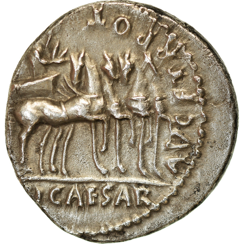 Coin, Augustus, Denarius, 13-14 AD, Lyon - Lugdunum, AU(50-53), Silver, RIC:224