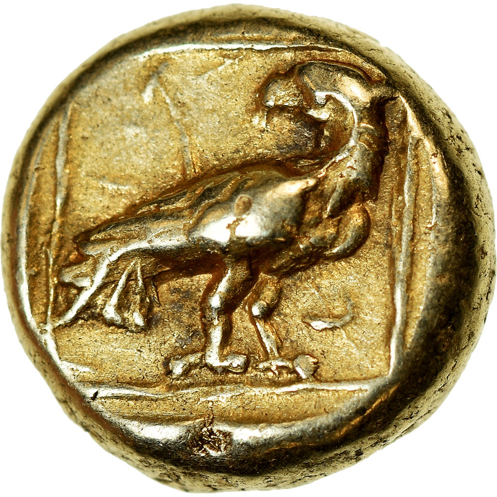 Münze, Lesbos, Mytilene, Hekte, 377-326 BC, SS+, Electrum, HGC:6-1030