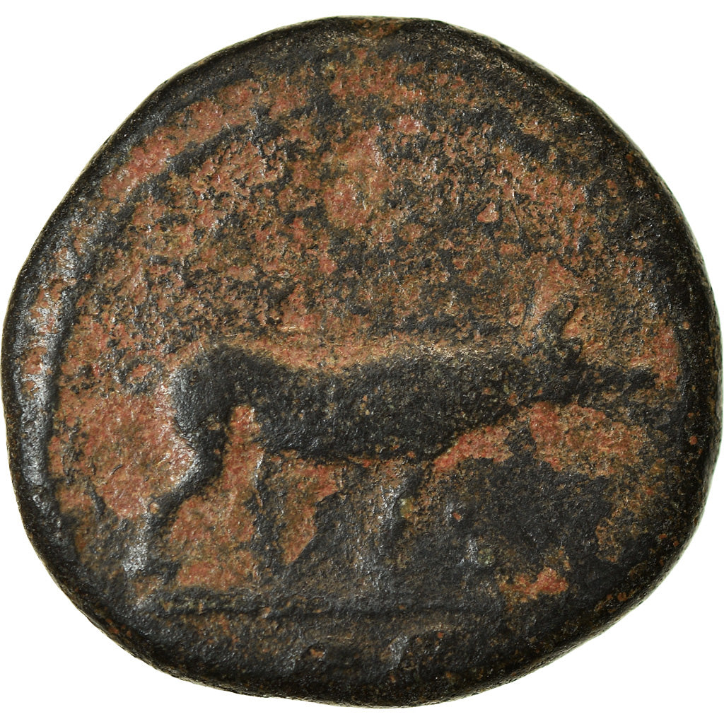 Coin, Trajan, Semis, 114-117, Rome, VF(20-25), Bronze