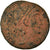 Coin, Constantius II, Nummus, 337-347, Antioch, EF(40-45), Bronze, RIC:45