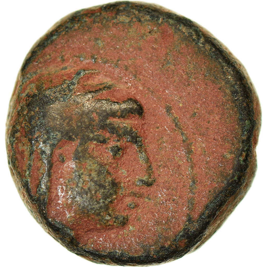 Coin, Seleukid Kingdom, Antiochos IV Epiphanes, Bronze Æ, 175-164 BC, Antioch