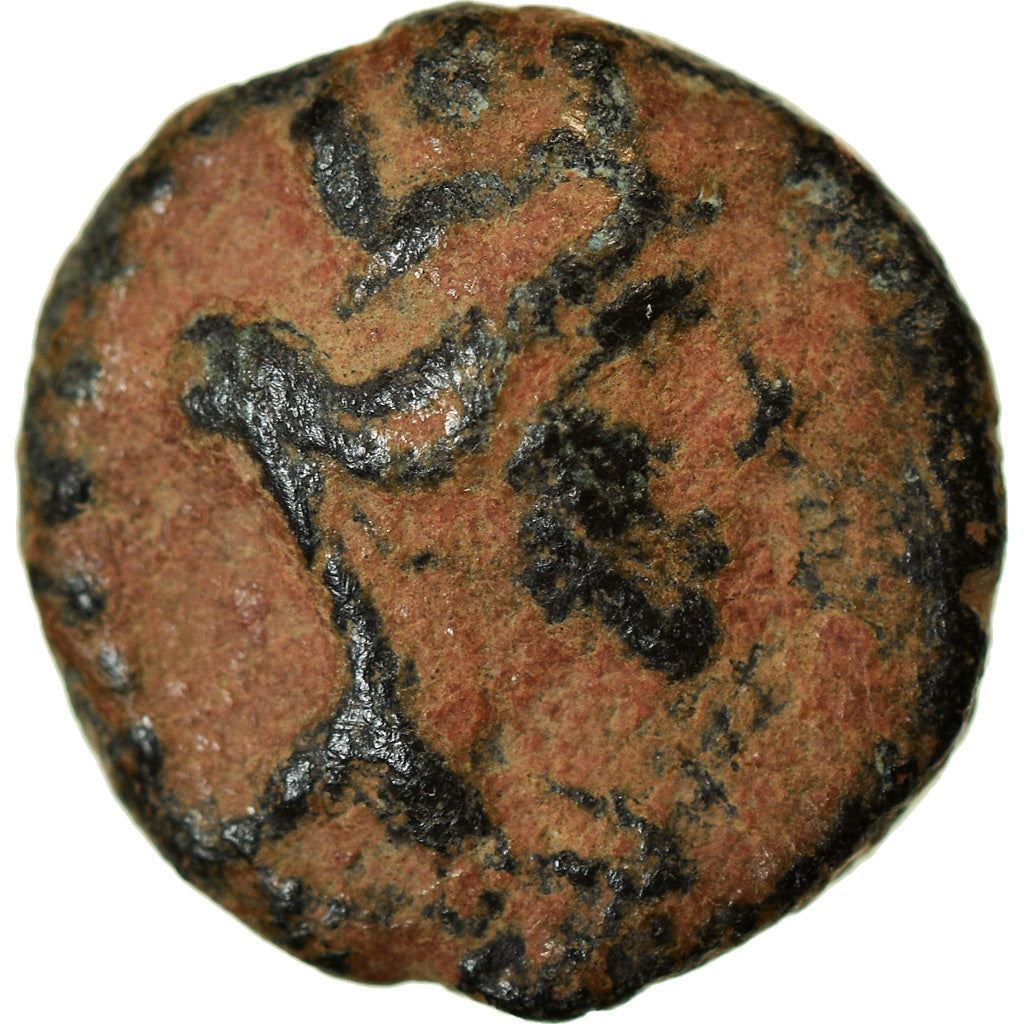 Moneta, Cyrrhestica, Beroea, Bronze Æ, 138-161, MB+, Bronzo