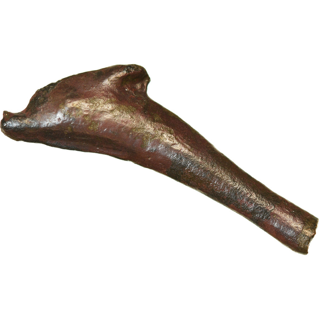 Coin, Sarmatia, Olbia, Dolphin, 5th-4th centuries BC, VF(30-35), Bronze