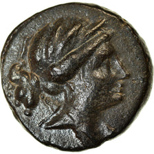 Moeda, Reino Selêucida, Seleukos III Keraunos, Bronze Æ, 225/4-222 BC