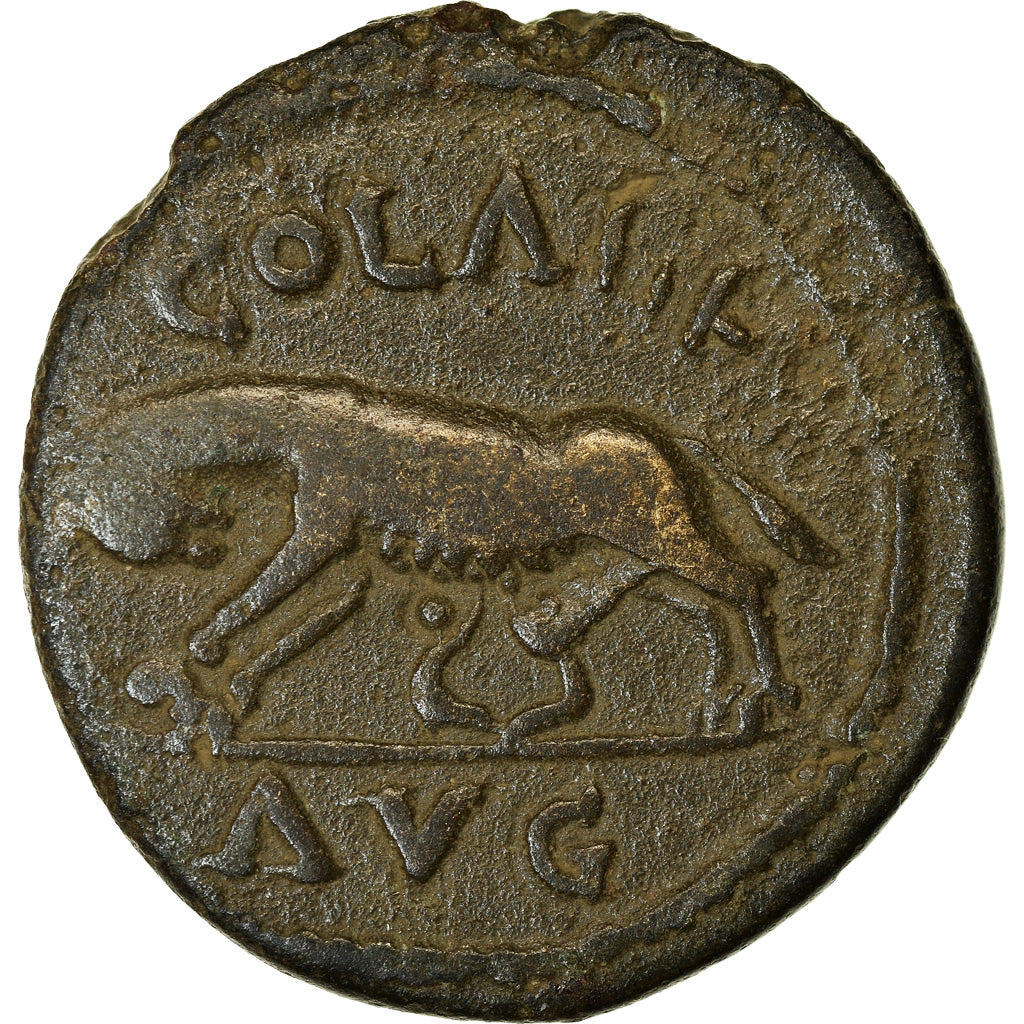 Coin, Troas, Alexandreia, Caracalla, Bronze Æ, 198-217, VF(30-35), Bronze