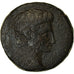 Coin, Ionia, Ephesos, Augustus, Bronze Æ, 27 BC-AD 14, EF(40-45), Bronze