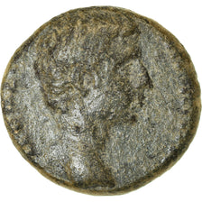 Coin, Ionia, Smyrna, Augustus, Bronze Æ, 15 BC, EF(40-45), Bronze, RPC:2463