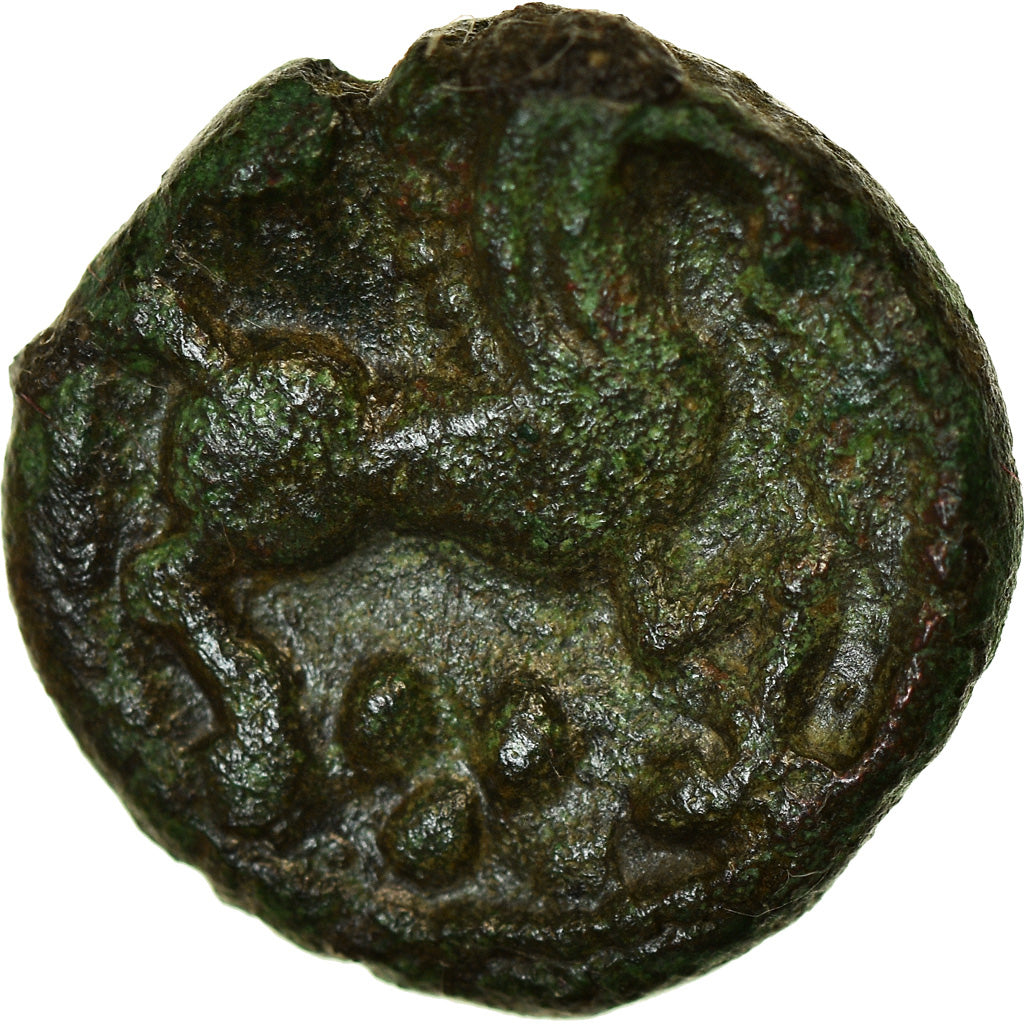 Coin, Bellovaci, Bronze au personnage courant, Ist century BC, Unpublished