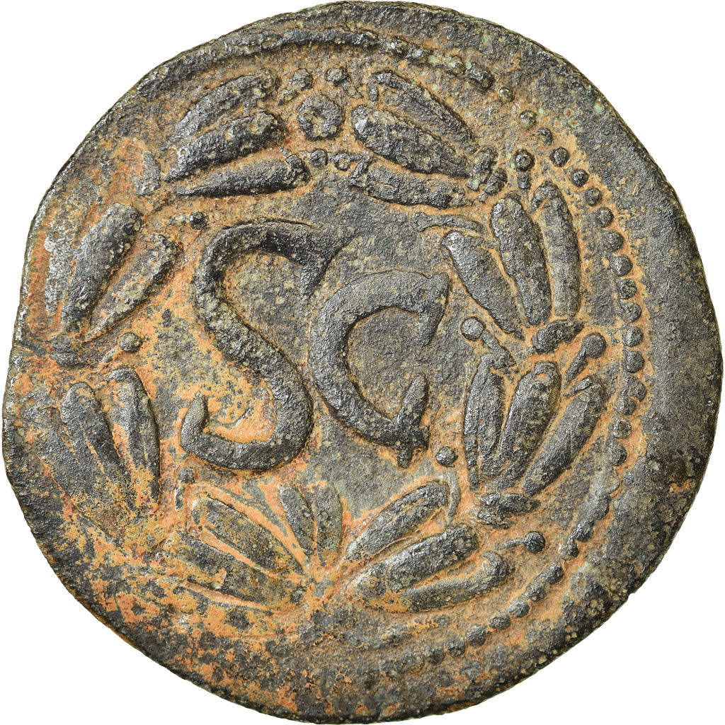 Munten, Seleucis and Pieria, Domitianus, As, 81-96, Antioch, ZF, Bronze