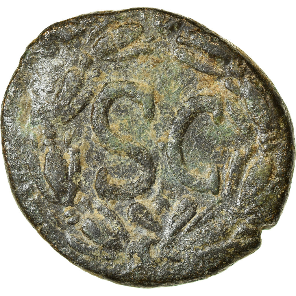 Monnaie, Séleucie et Piérie, Nerva, As, AD 97, Antioche, TB+, Bronze, BMC:259