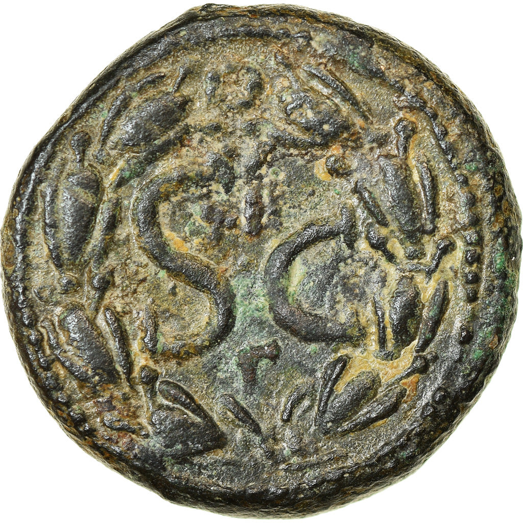 Monnaie, Séleucie et Piérie, Hadrien, As, 117-138, Antioche, TTB, Bronze