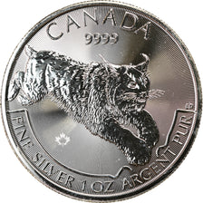 Moneta, Canada, Lynx, 5 Dollars, 2017, Bullion, MS(65-70), Srebro