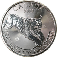 Moneda, Canadá, Lynx, 5 Dollars, 2017, Bullion, FDC, Plata
