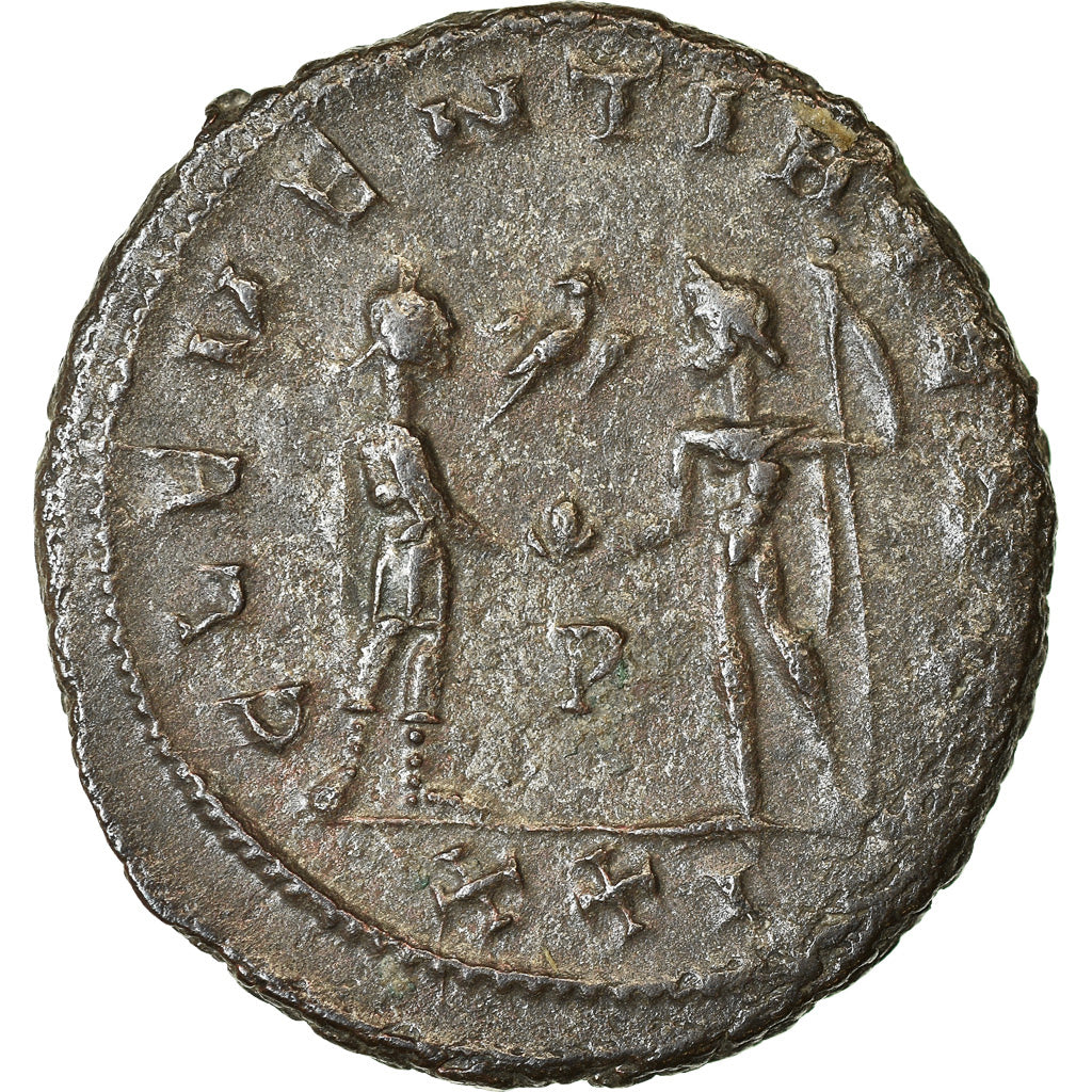 Coin, Probus, Antoninianus, 276-282, Kyzikos, EF(40-45), Billon, RIC:905