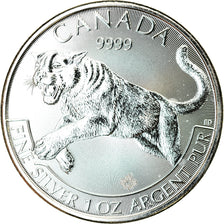 Moneda, Canadá, Cougar, 5 Dollars, 2016, 1 Oz, FDC, Plata