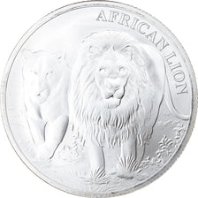 Coin, Congo Republic, African Lion, 5000 Francs, 2016, 1 Oz, MS(65-70), Silver